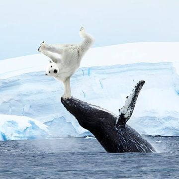 Leuke ijsbeer breakdance dierenprint van Martijn Schrijver