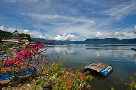 Die Anmut der Bougainvilleen auf Sumatra von Frank Photos