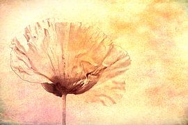 proud von Yvonne Blokland