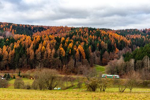 Randonnée à travers une forêt de Thuringe haute en couleur