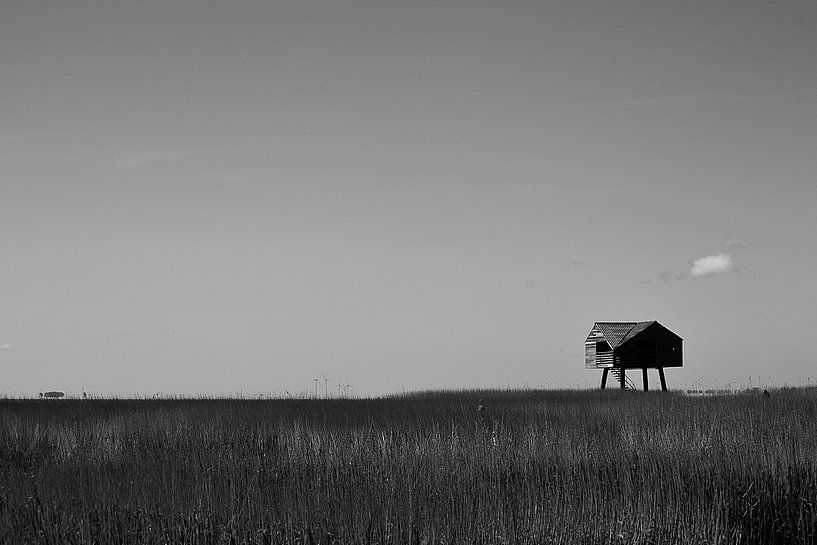 Kiekkaaste, Nieuw Statenzijl, Groningen by - DeVriesFotografie.nl -