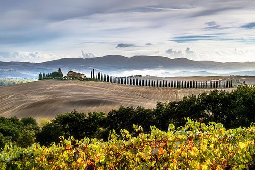 Toscaans landschap met cipressenpad