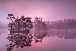 Nature beauty von Olha Rohulya