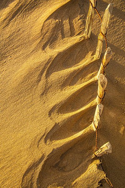 structures sur la plage par Saskia S