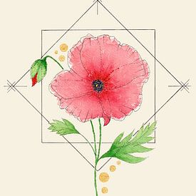 Femininer Fokus | Die Mohnblume von Kirsten Jense Illustraties.