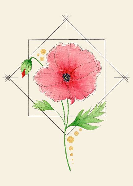 Femininer Fokus | Die Mohnblume von Kirsten Jense Illustraties.