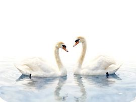 Zwei weiße Schwäne auf stillem Wasser von Kristin M