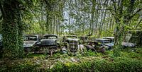 Oude auto's 