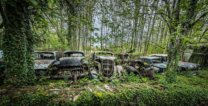 Oude auto's  van Inge van den Brande