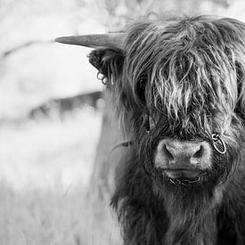 Haircut required by Britta Kärcher