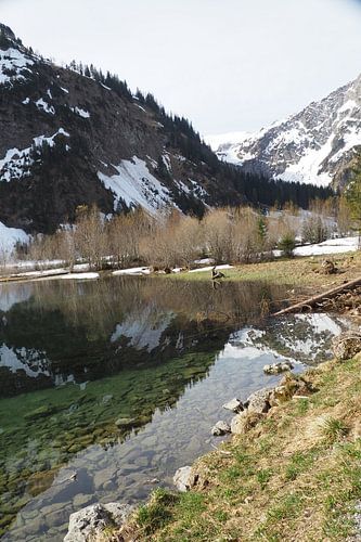 De Vilsalpsee in het Tannheimer Tal met spiegelend water en een alpenberglandschap op de achtergrond.