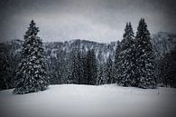 Bavarian Winter's Tale IV by Melanie Viola thumbnail