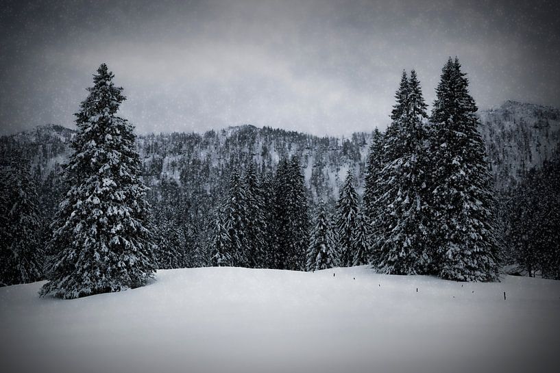 Wintermärchen HEMMERSUPPENALM IV von Melanie Viola