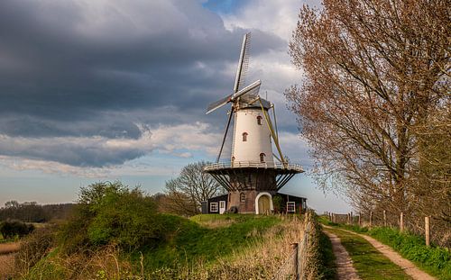 Der Weg zur Mühle von Ria Overbeeke
