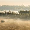 Warme zonsopkomst op een koude morgen van Teuni's Dreams of Reality