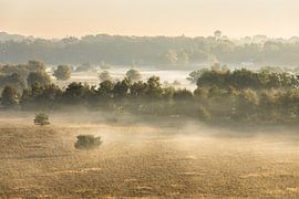Warme zonsopkomst op een koude morgen van Teuni's Dreams of Reality
