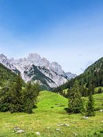 Blick auf die Bindalm im Berchtesgadener Land