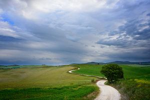 Kurvenreiche Straße zu einem Ziel in der Toskana