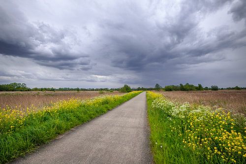 Réserve naturelle De Onlanden