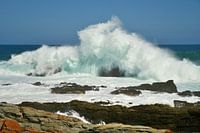 Rollende opspattende golf bij rotsen Zuid Afrika