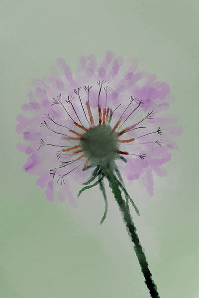 dandelion by MishMash van Heukelom