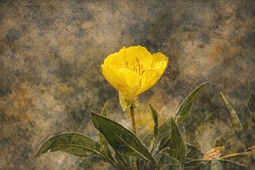 Abstract flower photo 2