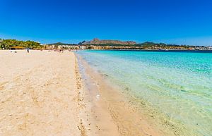 Plage de sable dans la baie d'Alcudia avec une eau claire et turquoise, Majorque, Espagne, îles Balé