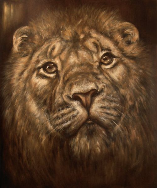 Sage of Dawn by Paula Collewijn