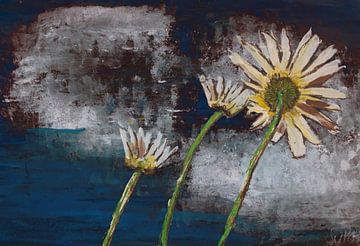 Good Evening Flower von Susanne A. Pasquay