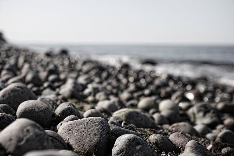 Steine am Strand von Frank Herrmann