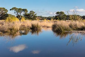 Soester Dunes