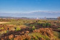 View over the Veluwe