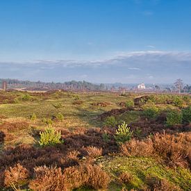 Vue sur le Veluwe sur Henrico Fotografie