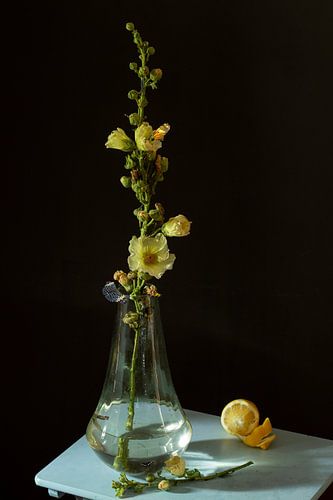 Nature morte "jaune et bleu