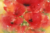 Sonnige Mohnblumen