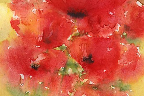 Coquelicots ensoleillés