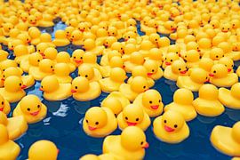 Gummi-Enten von Ron van der Stappen