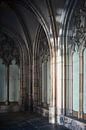 Dom garden, Utrecht. by André Bouterse thumbnail