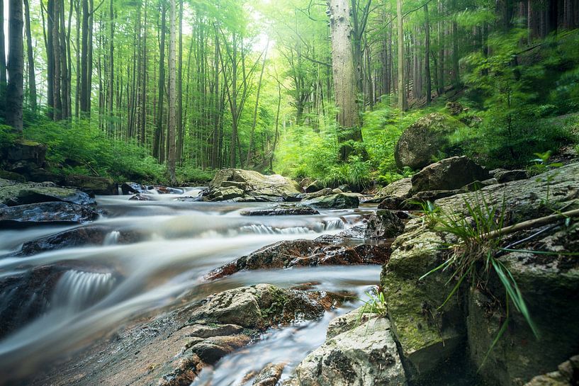 HarzGlow van Tim Lee Williams