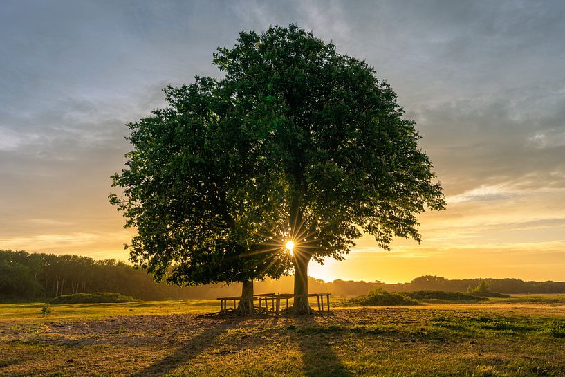 Zonsondergang, Lentevreugd van Carla Matthee