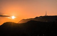 The sun beholds Hollywood by Nynke Nicolai thumbnail