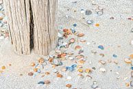 Strand mit bunten Muscheln. von Ron van der Stappen Miniaturansicht