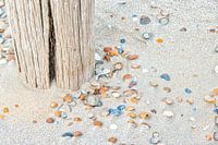 Strand met gekleurde schelpen.