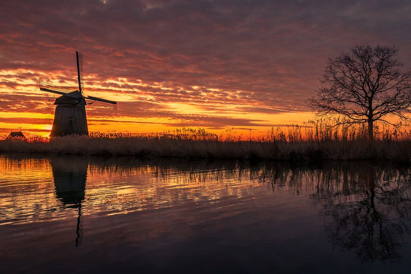 Mill with tree by peterheinspictures