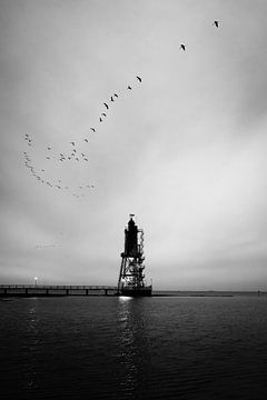 Leuchtturm Obereversand an der Nordsee von Nils Steiner