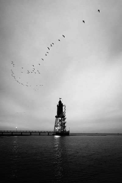 Leuchtturm Obereversand an der Nordsee von Nils Steiner