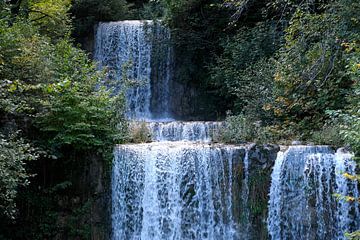Wasserfall im Wald von Idema Media