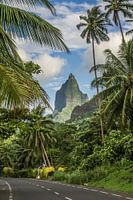 Weg naar paradijs op Moorea