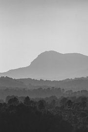 Bergen | fine art | black and white by Femke Ketelaar