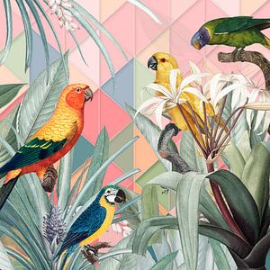 Parrots all over the Place von Marja van den Hurk